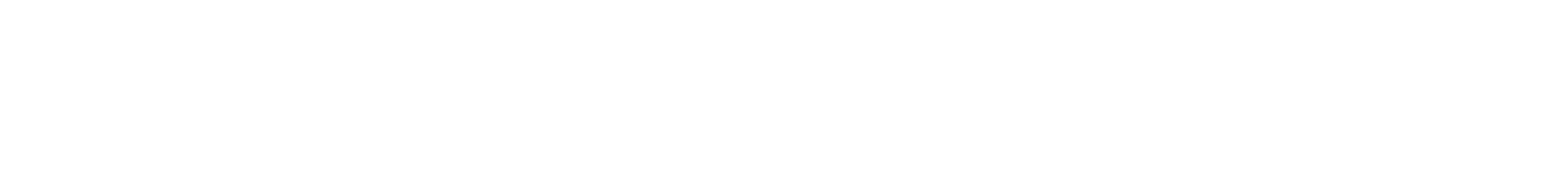 smartflow logo white